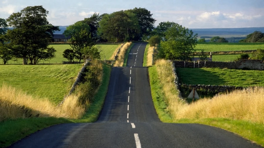 Market Pulse: A Bumpy Start to October but More Positives Ahead
