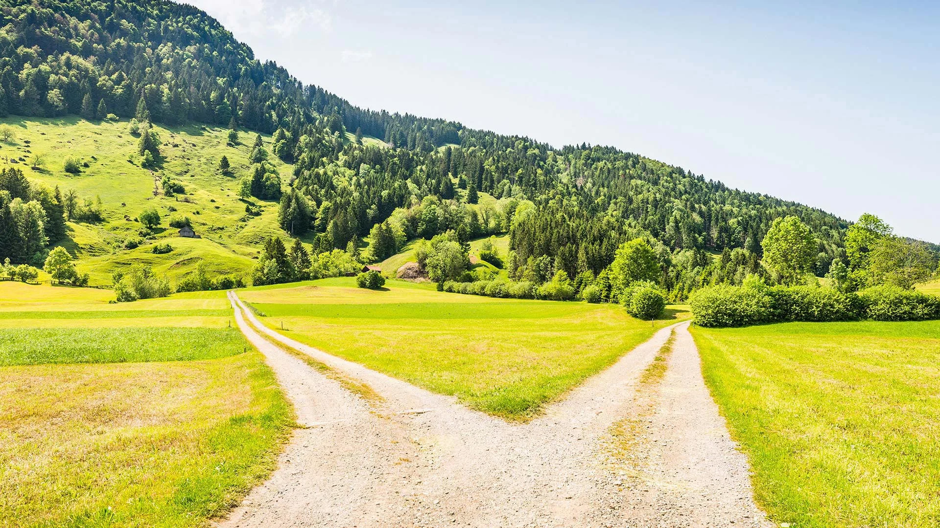 Market Pulse: Finding Areas of Conviction in an Uncertain Market Environment