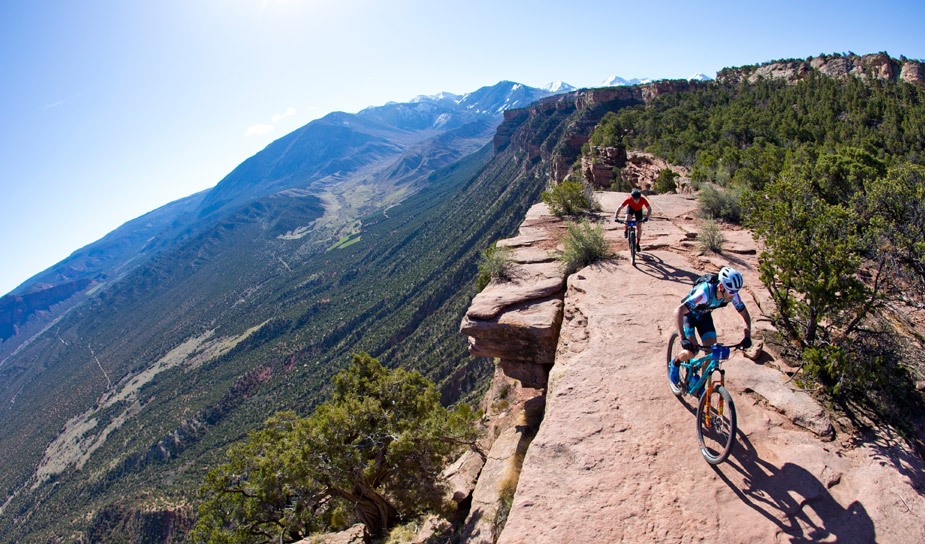 altsedge-feature-block01