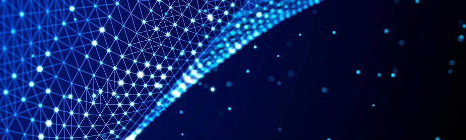 Structured Data Delivery