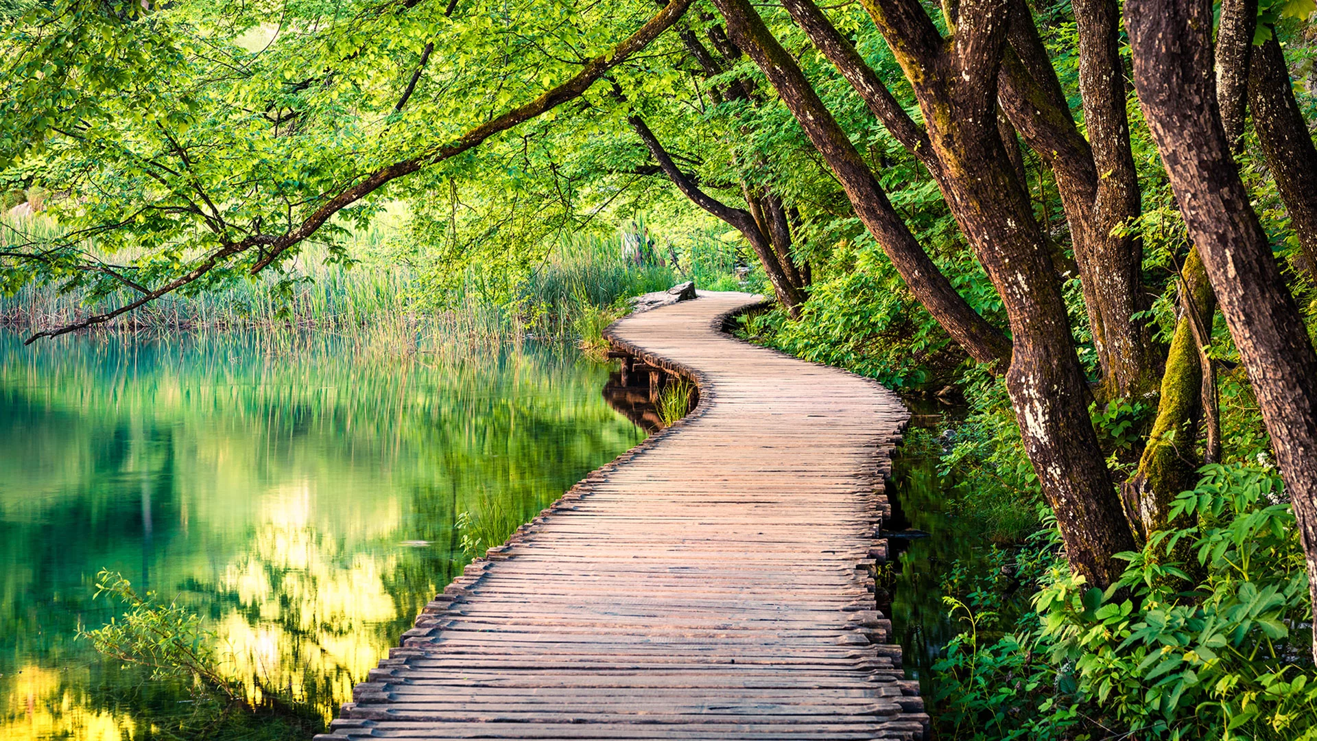 iCapital Market Pulse: Markets unsure of Powell’s path to a “Soft-ish Landing”