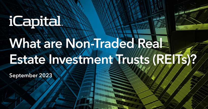 What are Non-Traded Real Estate Investment Trusts (REITs)?