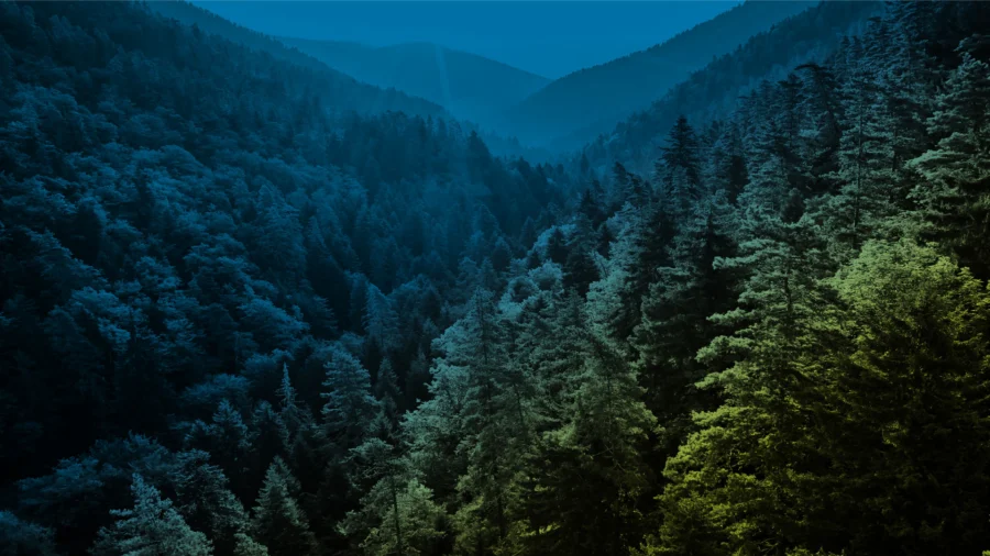 The Future is Evergreen: The Next Generation of Private Market Funds
