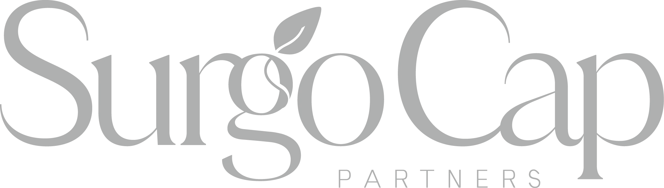 surgocap partners-gray