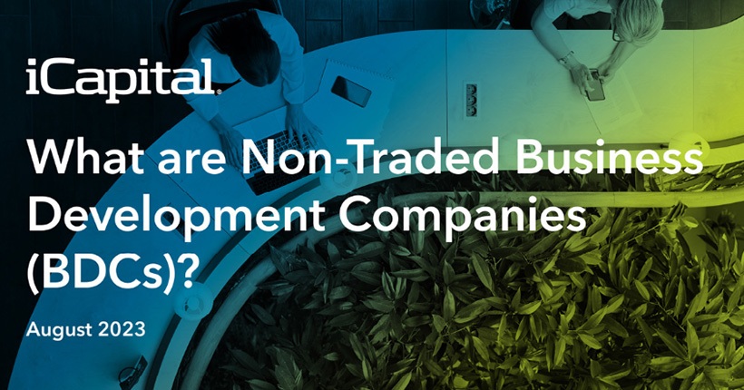 What are Non-Traded Business Development Companies (BDCs)?