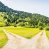 finding areas of conviction
