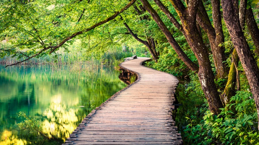 iCapital Market Pulse: Markets unsure of Powell’s path to a “Soft-ish Landing”