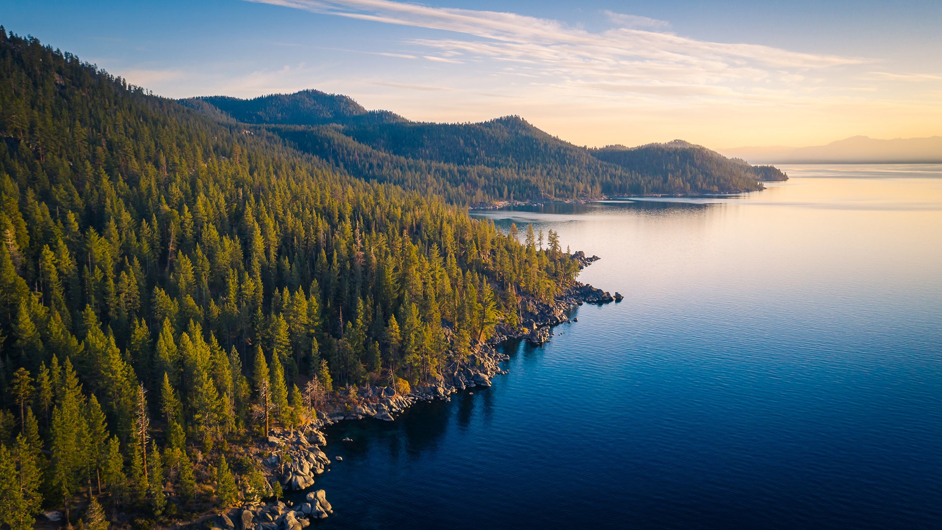 lakeside-running-next-to-forest