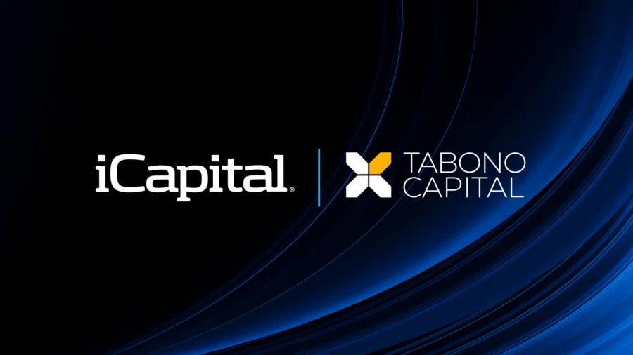 Case Study: Tabono Capital – Scaling with Transparency and Custom Reporting