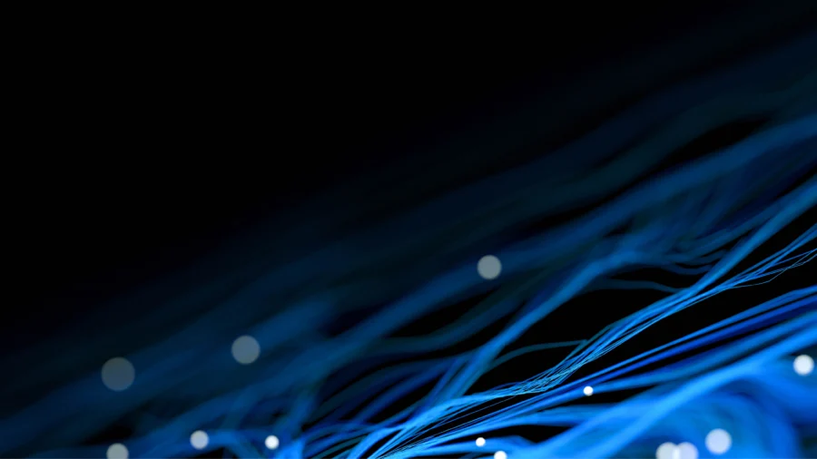 survey_media-02032025-header