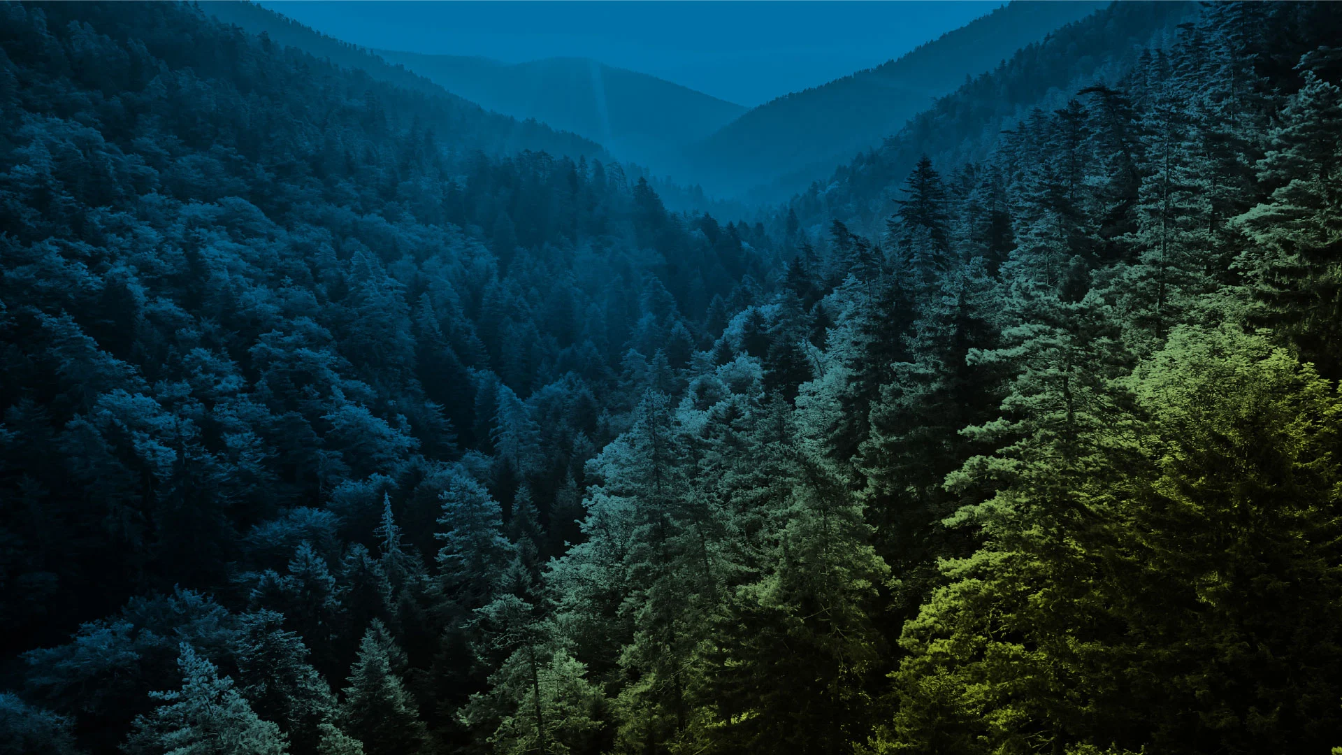 The Future is Evergreen: The Next Generation of Private Market Funds