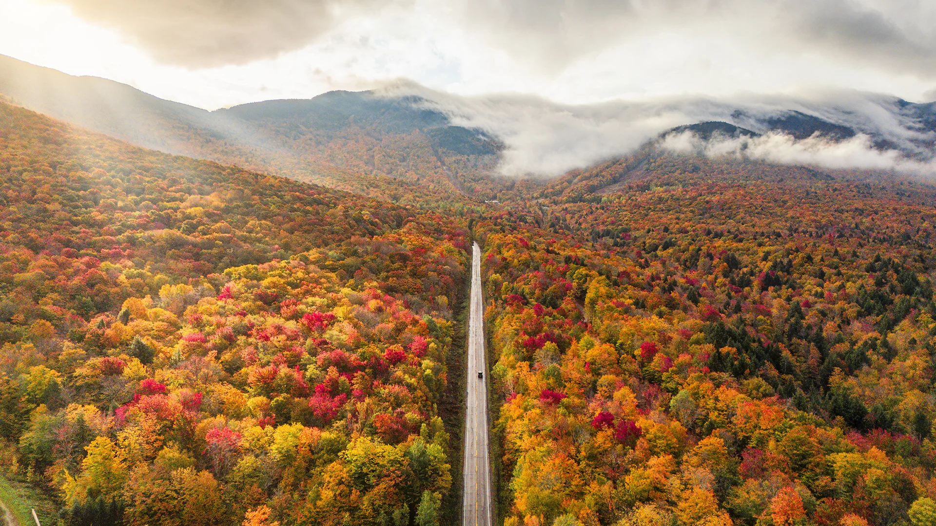 iCapital Market Pulse: Strategic Shifts: Fall Market Outlook