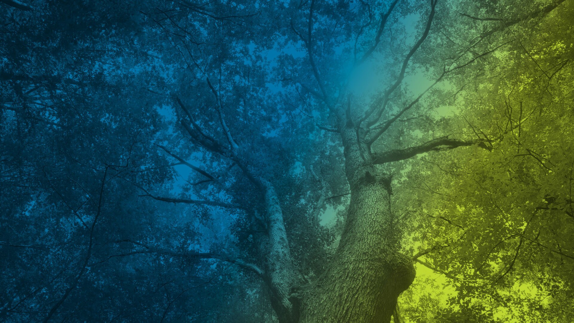 Always Be Committing