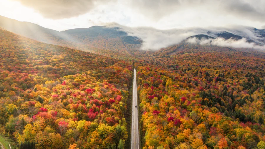 iCapital Market Pulse: Strategic Shifts: Fall Market Outlook